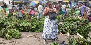 Mahakama ya Ndizi Mabibo banana market