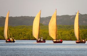 Kiunga Marine National Reserve. (seas4life.)